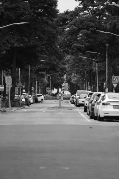 Una Vista Vertical Escala Grises Una Antigua Avenida Con Coches — Foto de Stock