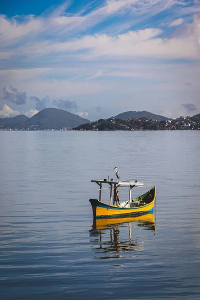 Küçük Sarı Bir Teknede Balıkçıl — Stok fotoğraf