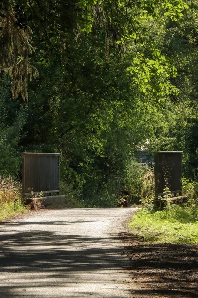 Een Prachtig Uitzicht Een Weg Een Park Met Groene Bomen — Stockfoto