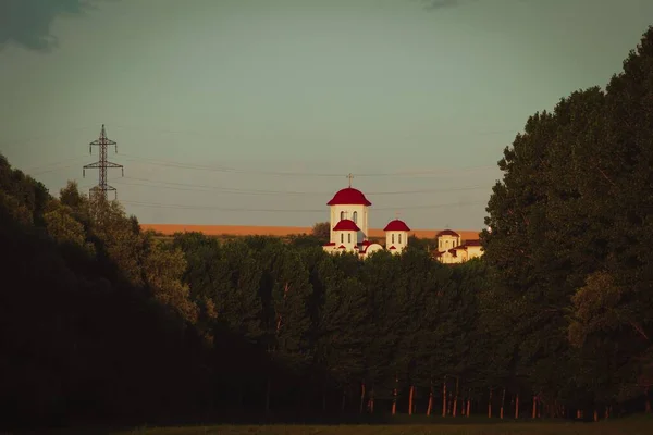 Biały Kościół Czerwoną Kopułą Lasem Pierwszym Planie — Zdjęcie stockowe