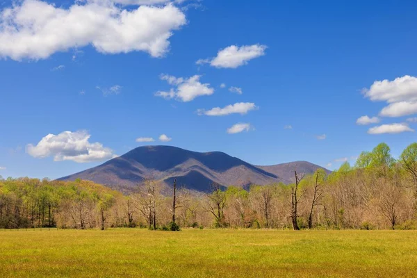 バージニア州の前景にあるフィールドを持つ3つの尾根の山の素晴らしい景色 — ストック写真