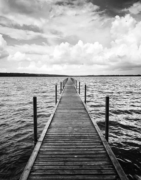 Een Monochrome Shot Van Een Plas Pier — Stockfoto