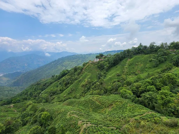 Eine Drohne Aus Der Luft Die Grüne Bewaldete Hügel Fotografiert — Stockfoto