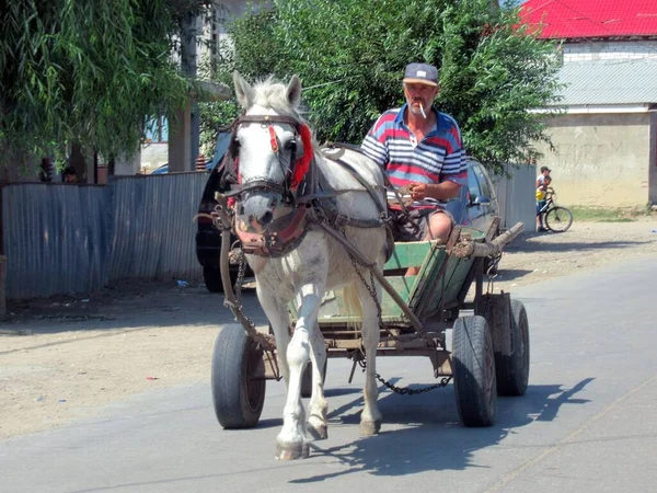 Kuzey Romanya Moldova Yakınlarındaki Bir Bölgede Neredeyse Arabaları Kadar Çok — Stok fotoğraf