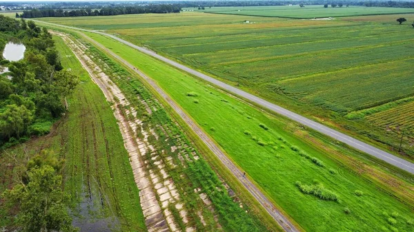 Вид Высоты Птичьего Полета Реку Миссисипи Пределами Батон Руж Луизиана — стоковое фото