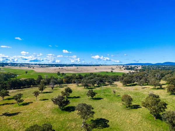 Belo Campo Agrícola Com Árvores Sempre Verdes Contra Céu Azul — Fotografia de Stock