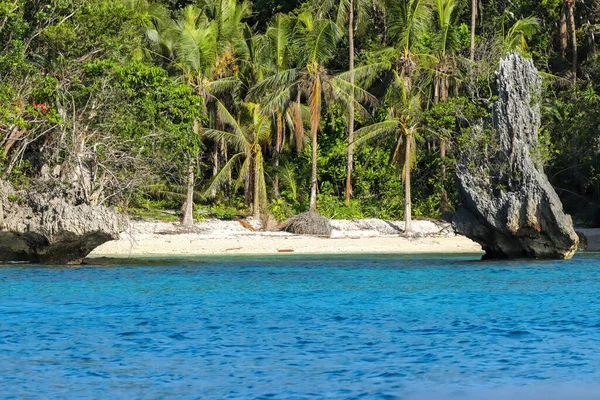Een Tropisch Strand Met Palmbomen Een Eiland Filipijnen — Stockfoto