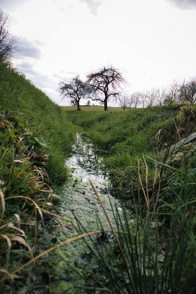 Tiro Vertical Riacho Que Flui Através Campo Verde Dia Nublado — Fotografia de Stock