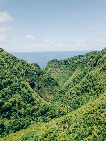 Oahu Hawaii Dağlarındaki Doğanın Dikey Görüntüsü — Stok fotoğraf