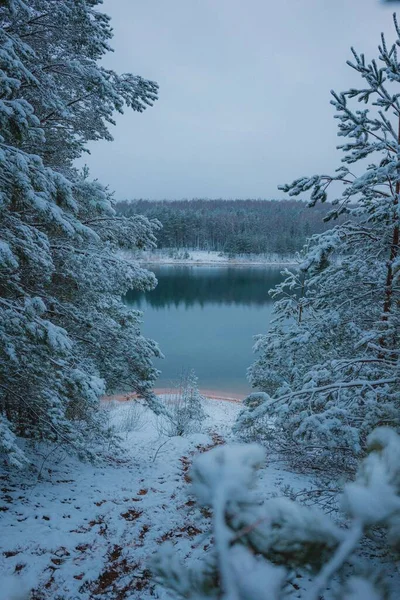 Bellissimo Paesaggio Lago Una Fitta Foresta Abeti Ricoperta Neve Una — Foto Stock