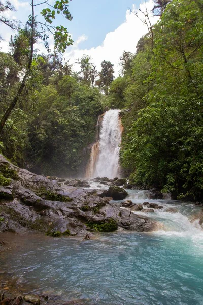 コスタリカ 中央アメリカの森の滝 — ストック写真
