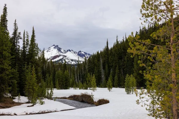 Ein Atemberaubender Blick Auf Die Cascade Mountains Oregon Winter — Stockfoto