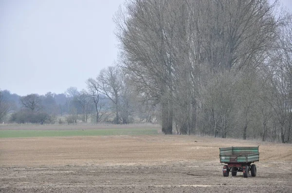 Ein Traktoranhänger Steht Auf Einem Feld Münsterland Nordrhein Westfalen Deutschland — Stockfoto