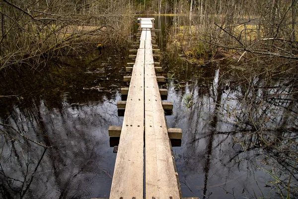 Largo Puente Madera Sobre Pantano Con Ramas Secas Cayendo Sobre — Foto de Stock