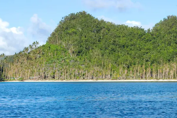 Una Vista Dall Oceano Della Spiaggia Con Alberi Nelle Filippine — Foto Stock