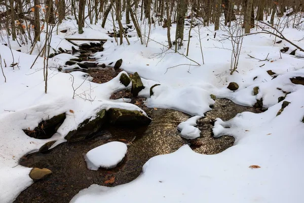 冬の森の中の凍った小川の閉鎖 — ストック写真
