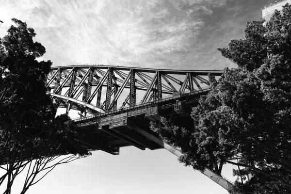 Låg Vinkel Gråskala Skott Sydney Harbour Bridge Med Träd Förgrunden — Stockfoto