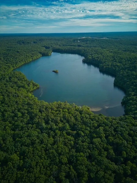 Una Vista Impresionante Río Que Fluye Través Los Densos Bosques — Foto de Stock