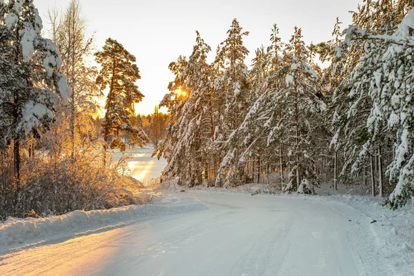 Красивый Пейзаж Дороги Лесу Покрытый Белым Снегом Закате Зимой — стоковое фото
