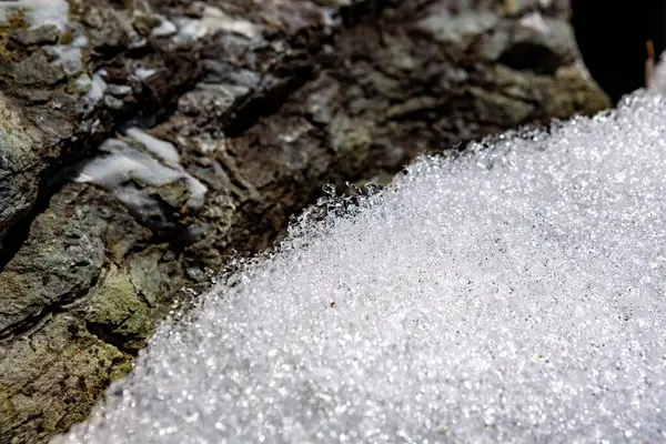 Melting Snow Rocks Switzerland — Stock Photo, Image