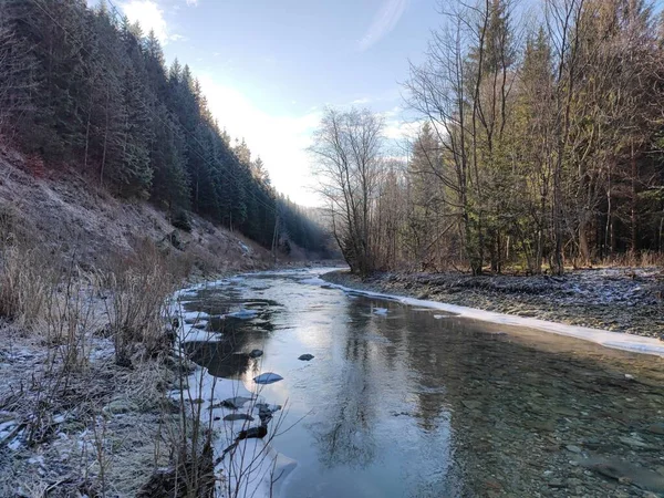Pittoresk Flod Vintern Zazriva Slovakien — Stockfoto