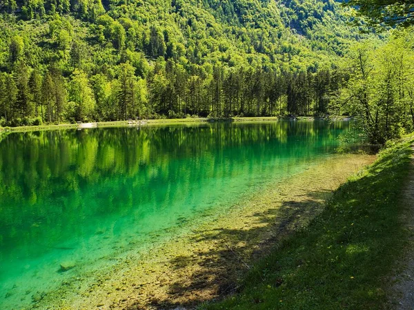 Вид Озеро Блунтаузі Оточений Деревами Сонячний День Зальцбурзі Австрія — стокове фото