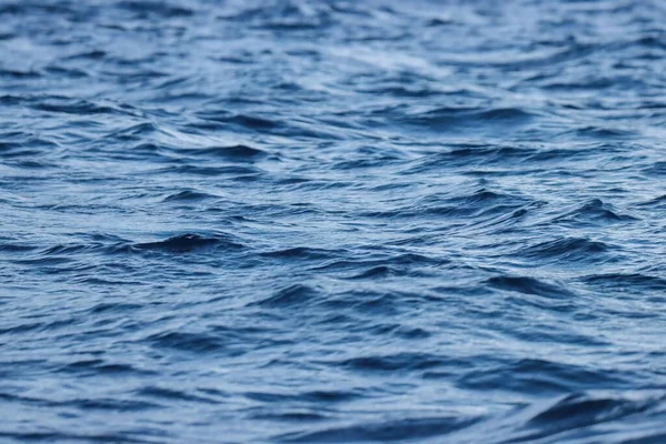 Gros Plan Une Surface Mer Calme Avec Eau Claire Bleue — Photo