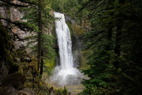 Uma Vista Deslumbrante Das Salt Creek Falls Oregon — Fotografia de Stock