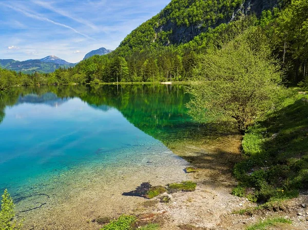 Widok Brzeg Jeziora Bluntausee Otoczony Drzewami Słoneczny Dzień Salzburgu Austria — Zdjęcie stockowe