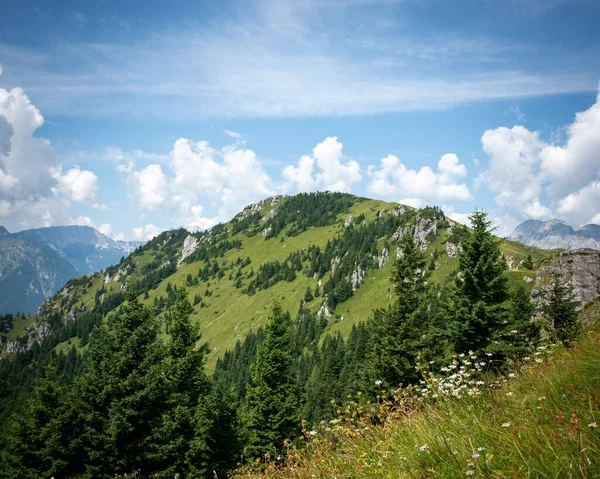 Scenic View Beautiful Hill Evergreen Trees Blue Cloudy Sky — Stock Photo, Image