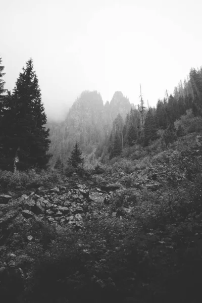 Vertical Grayscale Shot Rocky Mountains Covered Trees Natural Scenery Great — Stock Photo, Image