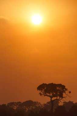 Dağların üzerinde büyüleyici bir altın gün batımı manzarası