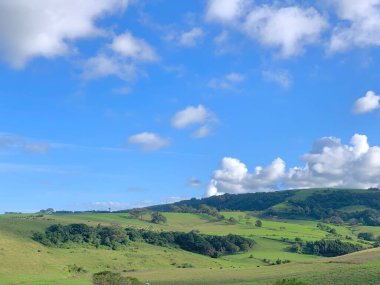 Yeşil tarlaları ve mavi gökyüzü olan güzel yaz manzarası.