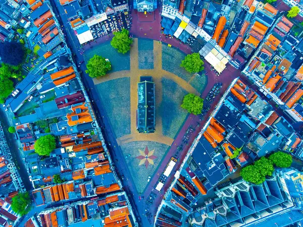 Renkli Çatıları Yeşil Ağaçları Simetrik Yapısı Olan Bir Şehrin Havadan — Stok fotoğraf