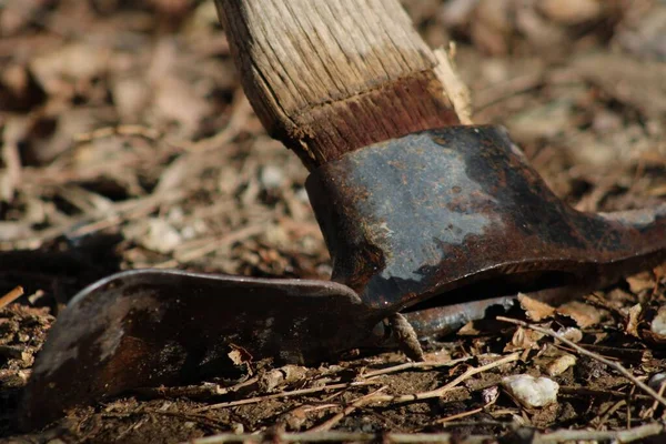 Closeup Shot Pickaxe — Stock Photo, Image