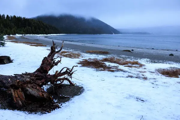 Fantastisk Utsikt Över Sjön Paulina Oregon Usa — Stockfoto