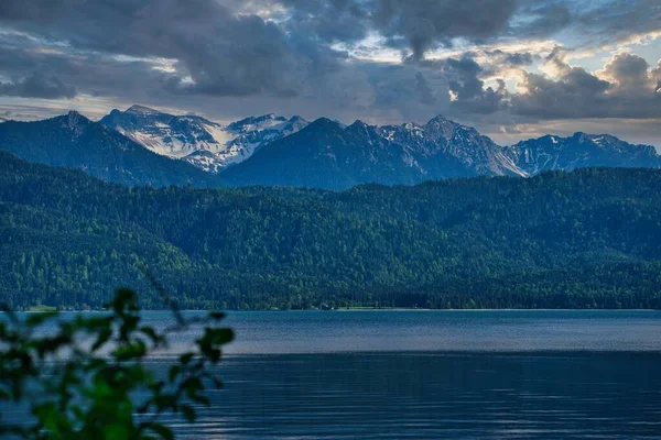 Der Ruhige See Und Bäume Mit Bergen — Stockfoto
