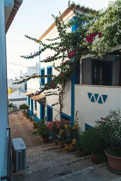 Een Verticaal Schot Van Witte Gebouwen Een Verharde Straat Algarve — Stockfoto