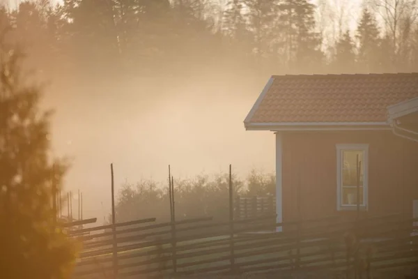 Una Casa Residenziale Una Foresta Piccolo Villaggio Circondato Nebbia Mattino — Foto Stock