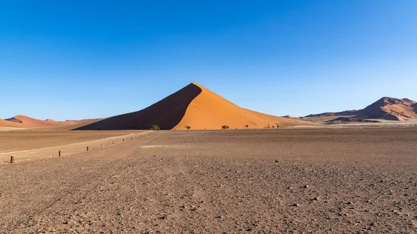 Namibia Die Wüste Namib Grafische Landschaft Mit Gelben Dünen Regenzeit — Stockfoto