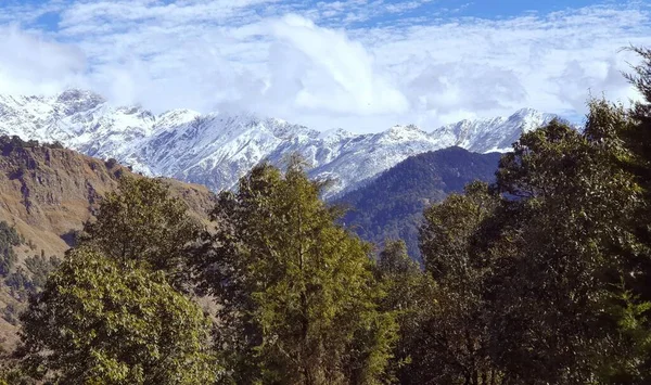 Gunung Berbatu Dan Pohon Pohon Hijau Dengan Gunung Gunung Snowcap — Stok Foto