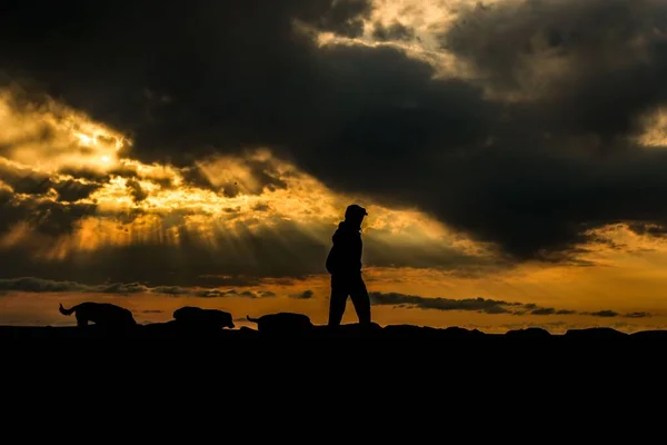 Silhouettes Young Male Three Dogs Walking Cloudy Sky Orange Sunlight — Stock Photo, Image