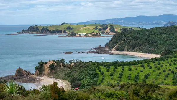 Beautiful Sunny Day Rotoroa Seascape Green Hills New Zealand — Stock Photo, Image