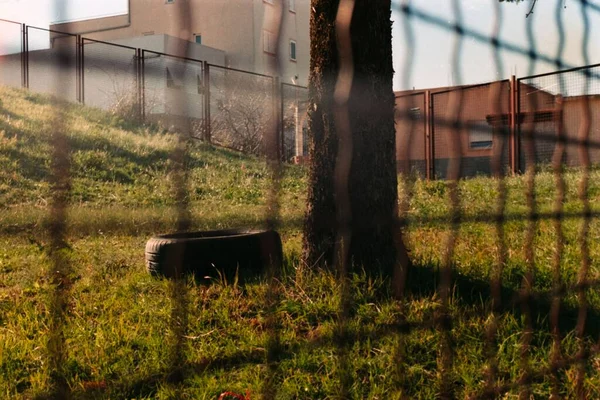 Yard Fence Tree Car Wheel — Stock Photo, Image