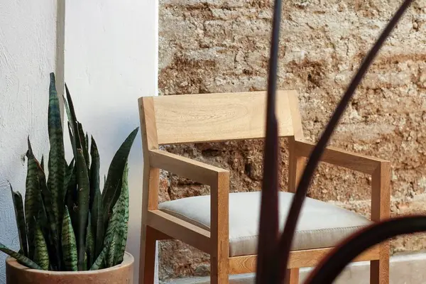 Plantas Folhosas Pela Cadeira Madeira Frente Parede — Fotografia de Stock