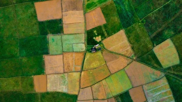 Een Bovenaanzicht Van Groene Landbouwvelden Weiden Een Landelijk Gebied Bij — Stockfoto