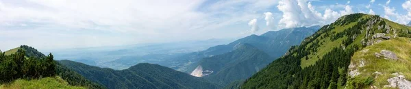 Panoramatický Výhled Krásné Kopce Pokryté Věčně Zelenými Stromy Horami Pozadí — Stock fotografie