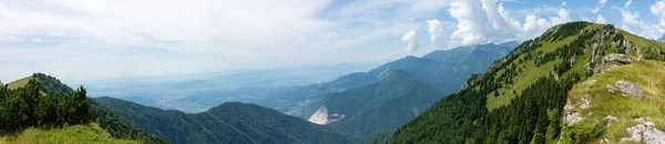 Une Vue Panoramique Belles Collines Couvertes Arbres Sempervirents Avec Des — Photo