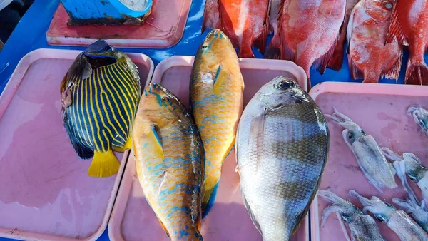 Primer Plano Diferentes Pescados Mercado Pescado — Foto de Stock