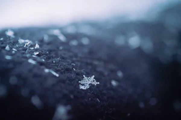 Makroaufnahme Einer Schneeflocke Auf Dunkler Oberfläche — Stockfoto